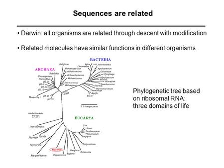 Sequences are related Darwin: all organisms are related through descent with modification Related molecules have similar functions in different organisms.