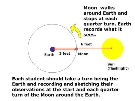 3 feet 6 feet Sun (flashlight) Moon Earth Moon walks around Earth and stops at each quarter turn. Earth records what it sees. Each student should take.