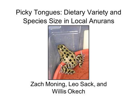 Picky Tongues: Dietary Variety and Species Size in Local Anurans Zach Moning, Leo Sack, and Willis Okech.