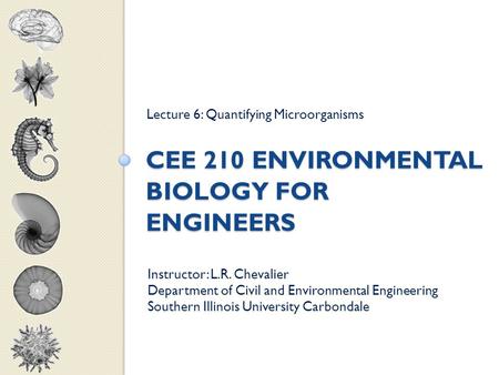 CEE 210 ENVIRONMENTAL BIOLOGY FOR ENGINEERS Lecture 6: Quantifying Microorganisms Instructor: L.R. Chevalier Department of Civil and Environmental Engineering.