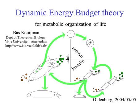 Dynamic Energy Budget theory for metabolic organization of life Bas Kooijman Dept of Theoretical Biology Vrije Universiteit, Amsterdam