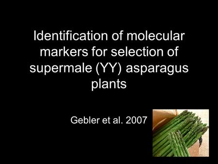 Identification of molecular markers for selection of supermale (YY) asparagus plants Gebler et al. 2007.