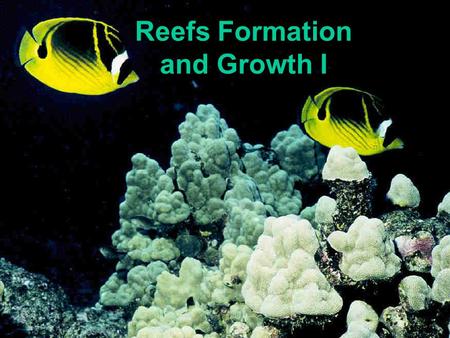Reefs Formation and Growth I. The Environment of the Reef Nutrient supply: 1.Oligotrophic environment- nutrient poor Shallow waters where most reefs develop.