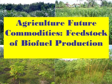 Agriculture Future Commodities: Feedstock of Biofuel Production.