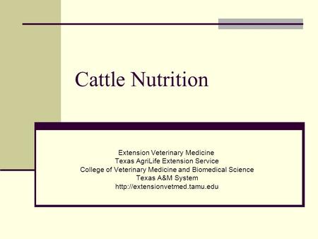 Cattle Nutrition Extension Veterinary Medicine