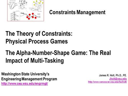 James R. Holt, Ph.D., PE.   Constraints Management.