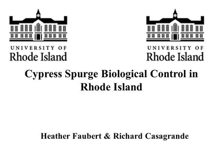 Cypress Spurge Biological Control in Rhode Island Heather Faubert & Richard Casagrande.