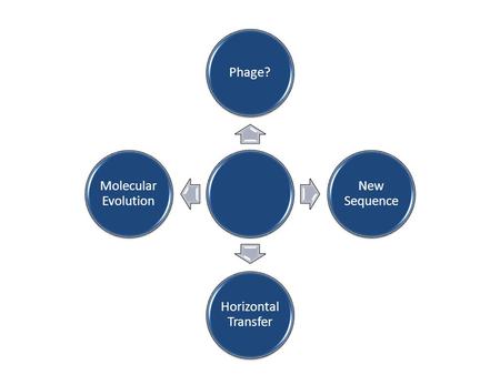 Phage? New Sequence Horizontal Transfer Molecular Evolution.