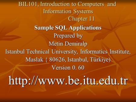 BIL101, Introduction to Computers and Information Systems Chapter 11 Sample SQL Applications Prepared by Metin Demiralp Istanbul Technical University,