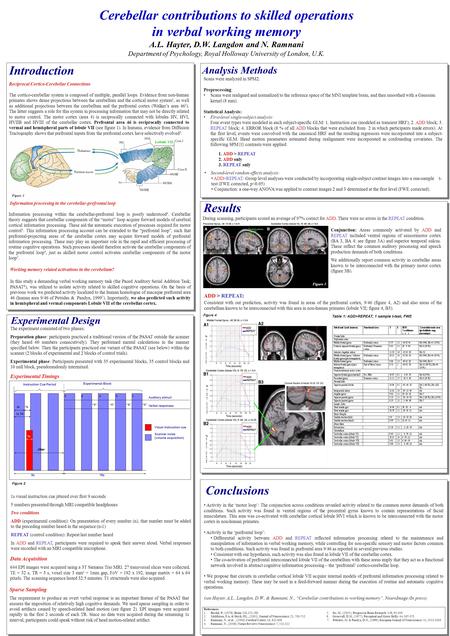 Cerebellar contributions to skilled operations in verbal working memory A.L. Hayter, D.W. Langdon and N. Ramnani Department of Psychology, Royal Holloway.