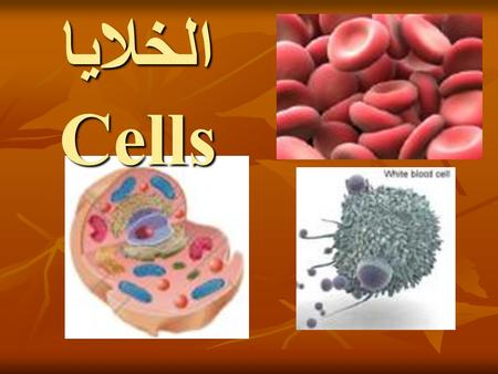 الخلايا Cells.