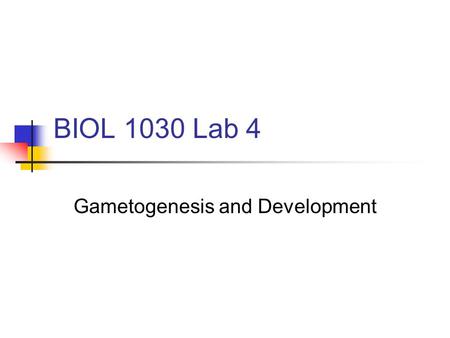 BIOL 1030 Lab 4 Gametogenesis and Development. Question 1 Identify the structure shown.