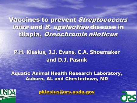 Vaccines to prevent Streptococcus iniae and S. agalactiae disease in tilapia, Oreochromis niloticus P.H. Klesius, J.J. Evans, C.A. Shoemaker and D.J. Pasnik.