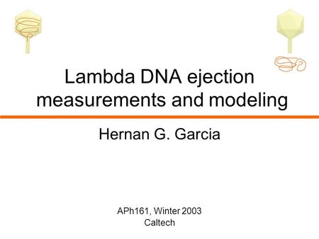 Lambda DNA ejection measurements and modeling Hernan G. Garcia APh161, Winter 2003 Caltech.