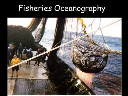 Fisheries Oceanography. SST anomalies off Peru coastline.