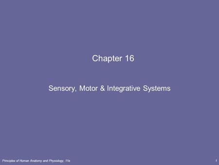 Principles of Human Anatomy and Physiology, 11e1 Chapter 16 Sensory, Motor & Integrative Systems.