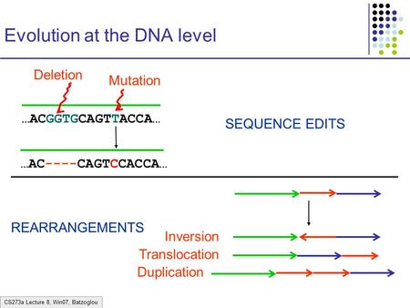 CS273a Lecture 8, Win07, Batzoglou Evolution at the DNA level …ACGGTGCAGTTACCA… …AC----CAGTCCACCA… Mutation SEQUENCE EDITS REARRANGEMENTS Deletion Inversion.