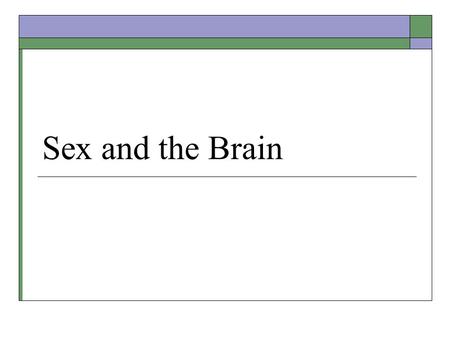 Sex and the Brain.