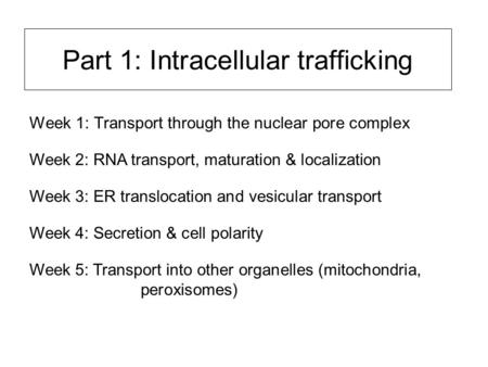 Part 1: Intracellular trafficking Week 1: Transport through the nuclear pore complex Week 2: RNA transport, maturation & localization Week 3: ER translocation.