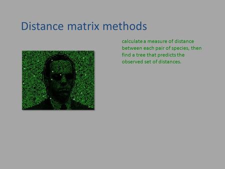 Distance matrix methods calculate a measure of distance between each pair of species, then find a tree that predicts the observed set of distances.
