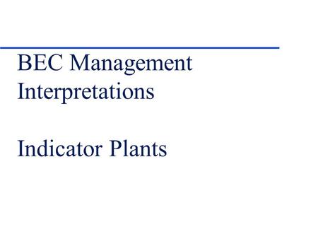 BEC Management Interpretations Indicator Plants. Management Interpretations, Examples u Species selection u Free-growing guidelines u Site Index (SIBEC),