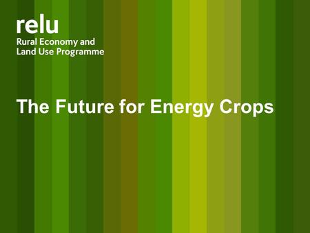 The Future for Energy Crops. Diverse drivers impact on land use Policy Drivers Climate change Energy security Ecosystem Services Rural livelihoods Food.