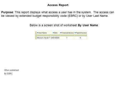 Access Report Purpose: This report displays what access a user has in the system. The access can be viewed by extended budget responsibility code (EBRC)