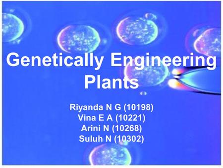 Genetically Engineering Plants Riyanda N G (10198) Vina E A (10221) Arini N (10268) Suluh N (10302)