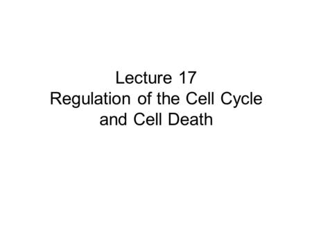 Lecture 17 Regulation of the Cell Cycle and Cell Death.