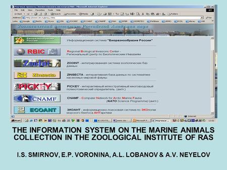 THE INFORMATION SYSTEM ON THE MARINE ANIMALS COLLECTION IN THE ZOOLOGICAL INSTITUTE OF RAS I.S. SMIRNOV, E.P. VORONINA, A.L. LOBANOV & A.V. NEYELOV.