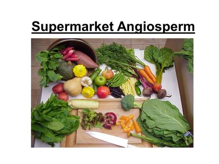 Supermarket Angiosperm. True Fruits -A fruit is a ripened ovary -Carpels hold fertilized ovules -Depending on the type of plant, the mature ovary may.