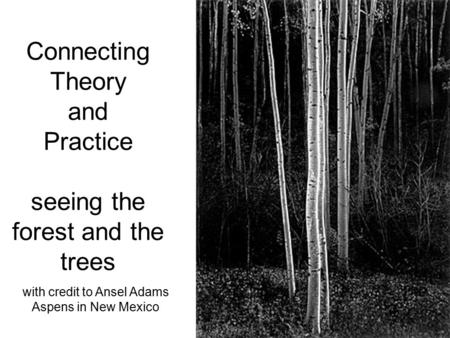 Connecting Theory and Practice seeing the forest and the trees with credit to Ansel Adams Aspens in New Mexico.