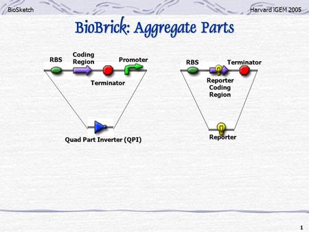BioSketchHarvard iGEM 2005 1 BioBrick: Aggregate Parts Quad Part Inverter (QPI) RBS CodingRegion Terminator Promoter RBSTerminator ReporterCodingRegion.