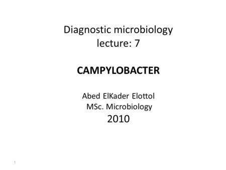 Diagnostic microbiology lecture: 7 CAMPYLOBACTER Abed ElKader Elottol MSc. Microbiology 2010 1.