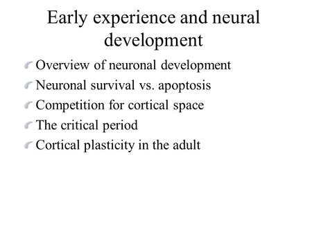 Overview of neuronal development Neuronal survival vs. apoptosis Competition for cortical space The critical period Cortical plasticity in the adult Early.