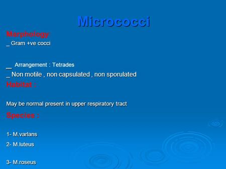 Micrococci Marphology: _ Gram +ve cocci Arrangement : Tetrades _ _ _ _ _ Non motile, non capsulated, non sporulated Habitat : May be normal present in.