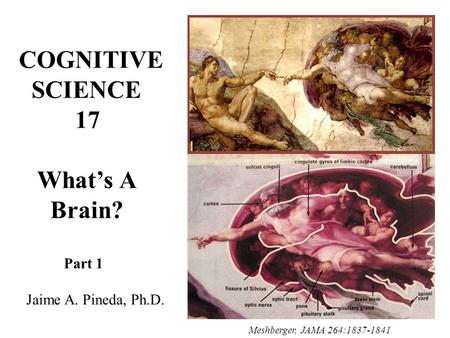 COGNITIVE SCIENCE 17 What’s A Brain? Part 1 Jaime A. Pineda, Ph.D. Meshberger, JAMA 264:1837-1841.