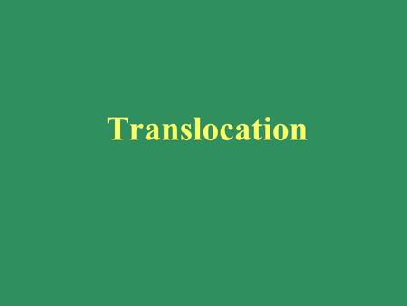 Translocation.