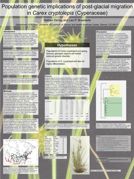 Population genetic implications of post-glacial migration in Carex cryptolepis (Cyperaceae) Nathan Derieg and Leo P. Bruederle Department of Biology, University.