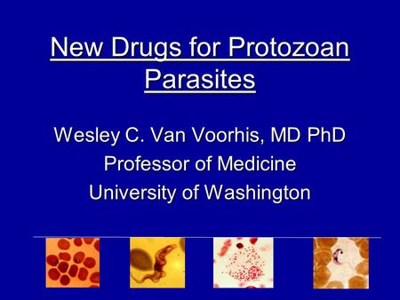 New Drugs for Protozoan Parasites Wesley C. Van Voorhis, MD PhD Professor of Medicine University of Washington.