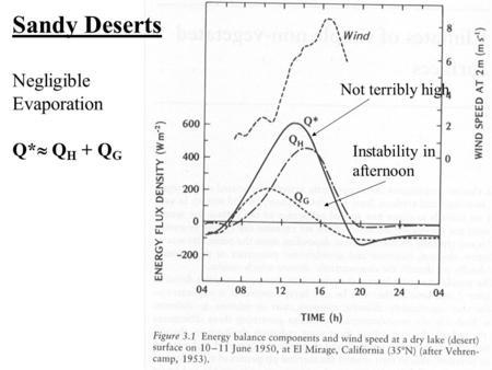 Sandy Deserts Negligible Evaporation Q*  Q H + Q G Not terribly high Instability in afternoon.