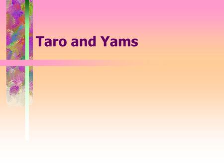 Taro and Yams 1.