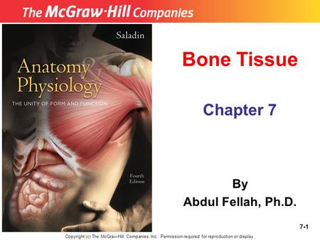 Bone Tissue Chapter 7 By Abdul Fellah, Ph.D.