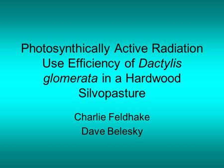 Photosynthically Active Radiation Use Efficiency of Dactylis glomerata in a Hardwood Silvopasture Charlie Feldhake Dave Belesky.