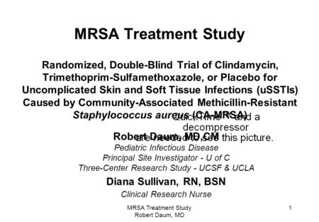 MRSA Treatment Study Robert Daum, MD,CM Diana Sullivan, RN, BSN