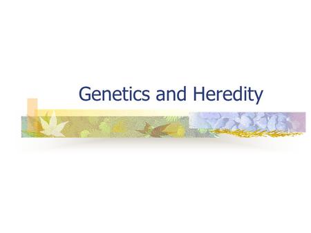 Genetics and Heredity. The Genetics of Blood Types: Multiple Alleles.