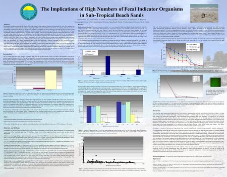 The Implications of High Numbers of Fecal Indicator Organisms in Sub-Tropical Beach Sands M.L Cuvelier 1, K. L. Nowosielski 1, N. Esiobu 2, D. McCorquodale.
