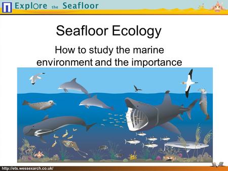 Seafloor Ecology How to study the marine environment and the importance of habitats and food webs.