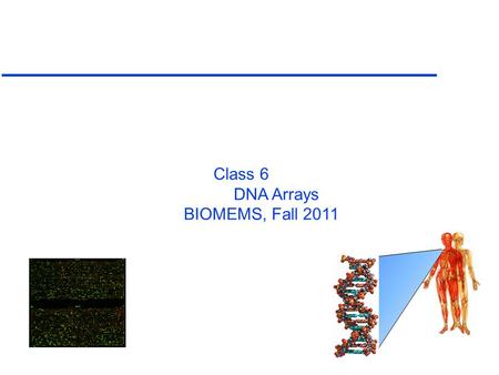 Class 6 DNA Arrays BIOMEMS, Fall 2011. Content u Polymerase Chain Reaction or PCR u DNA Detection Process u DNA Micro Arrays u Electronic DNA Arrays u.