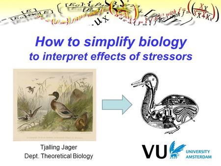 Tjalling Jager Dept. Theoretical Biology How to simplify biology to interpret effects of stressors.